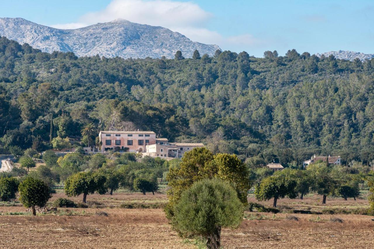 Estada en una granja Son Cladera Sa Pobla